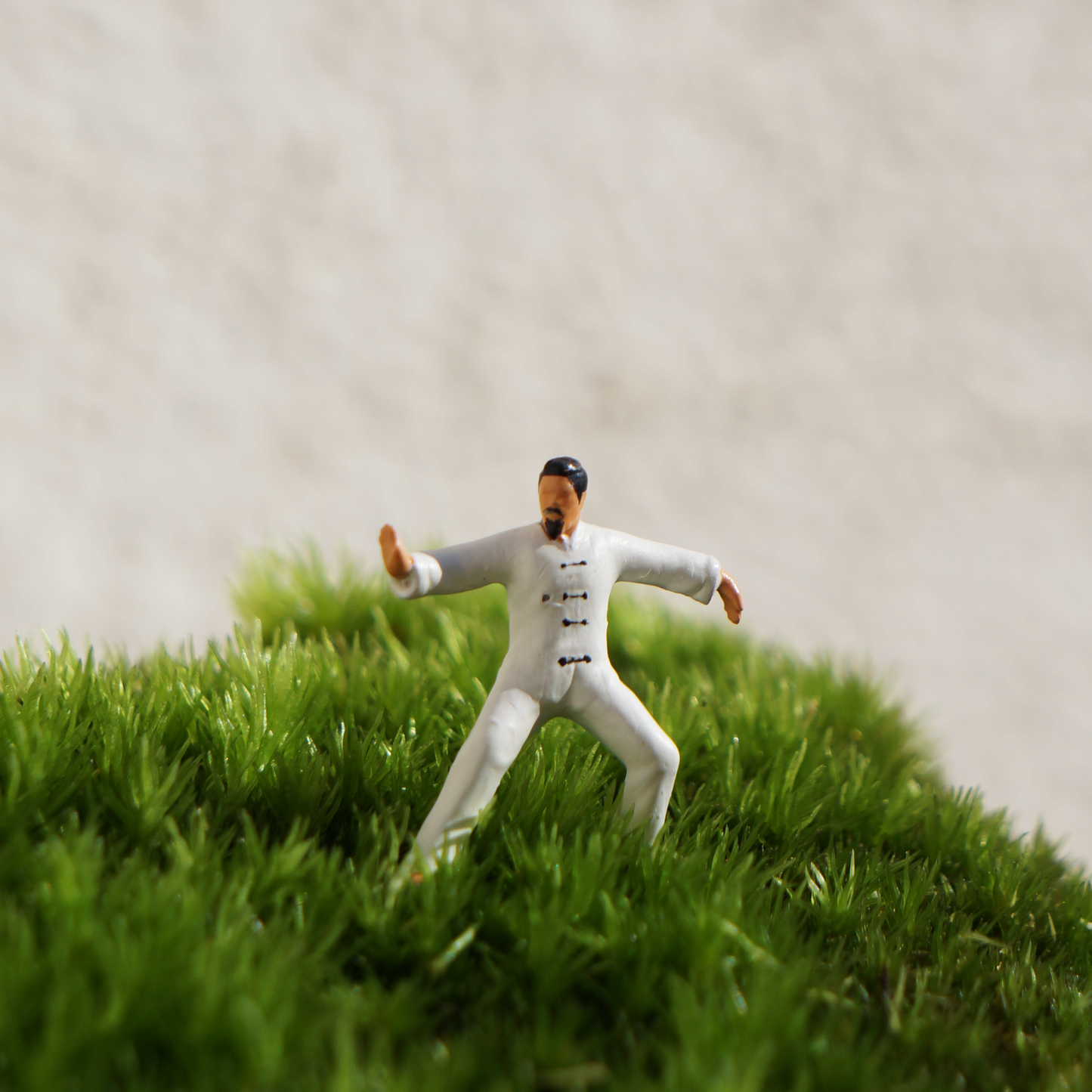 Maestro Chi (Blanco)